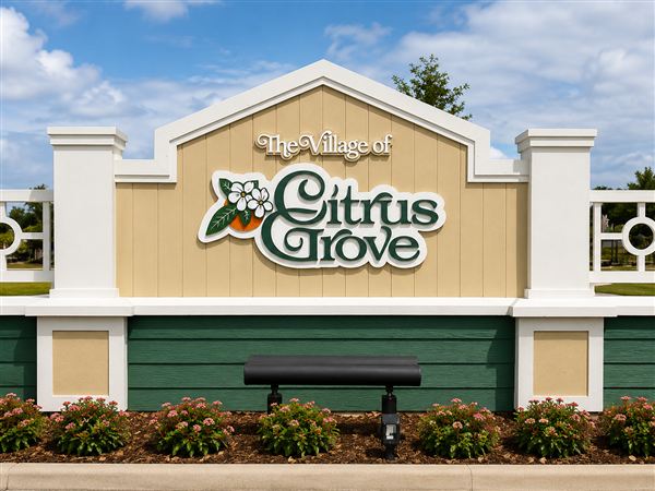 Citrus Grove